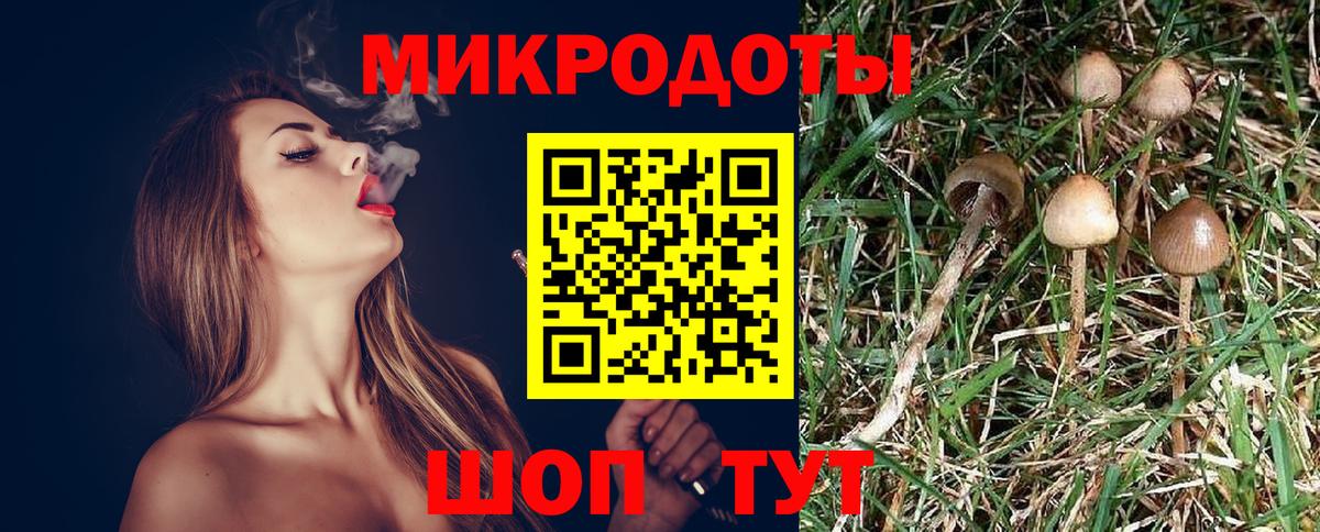 Галлюциногенные грибы мухоморы Курск